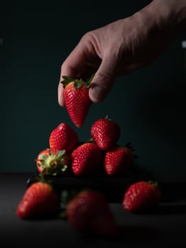 fresh strawberries on dark background and hand placing a strawberry