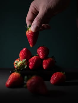 fresh strawberries on dark background and hand placing a strawberry