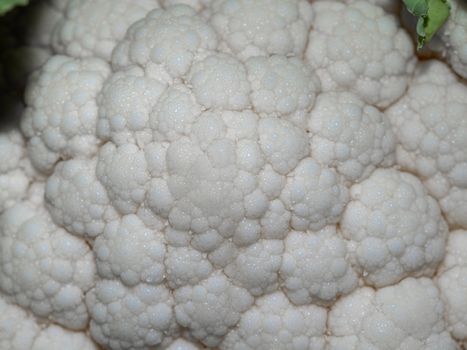 macro detail of a cauliflower