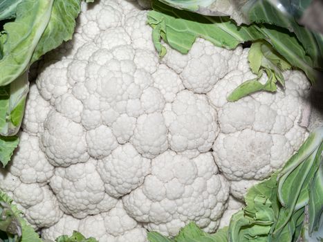 macro detail of a cauliflower