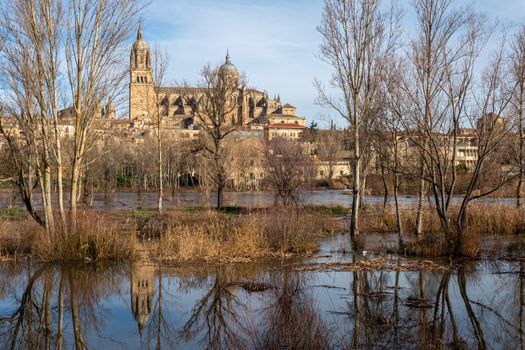 Salamanca cathedral with reflection on the river