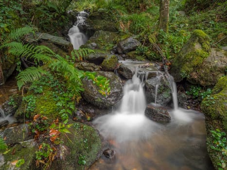 small green autumn landscape with waterfall