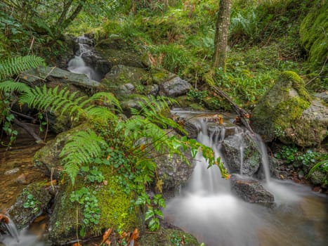 small green autumn landscape with waterfall