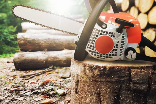 Generic chainsaw on a tree trunk during a felling of the forest in the rays of the sun