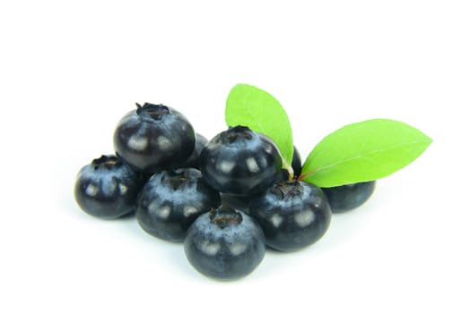 Group of fresh blueberries with leaves isolated on white background.