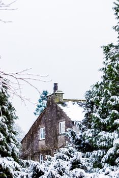 House in a snowy forest In Lake District Cumbria