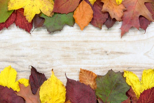 Beautiful autumn background - multicolored colored leaves on a wooden table with copy place.
