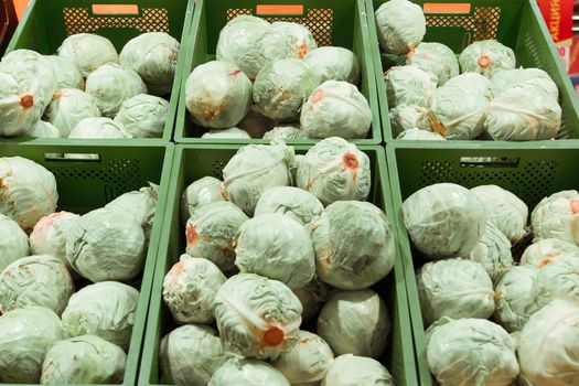 Boxes of fresh cabbages in a supermarket. Healthy eating