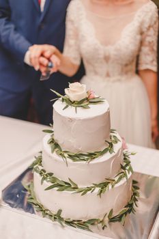 Happy wedding couple carving delicious wedding cake