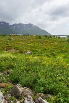 Beautiful scandinavian landscape with meadows, mountains and village. Lofoten islands, Norway.