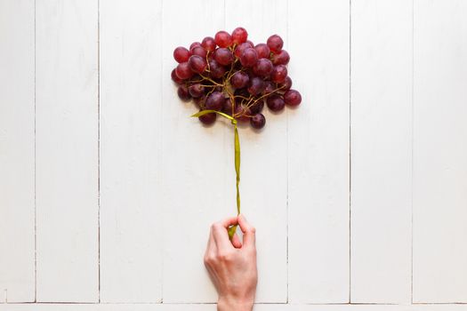 A bunch of grapes tied with a ribbon in a woman's hand on a white wooden background. View from above. Grapes like balloons. The concept of easy and healthy food.