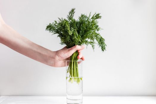 Female hands put fresh fennel into a glass with water.
