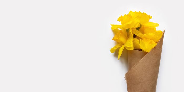 Bouquet of Narcissus or daffodils in craft wrapping paper. Bright yellow flowers on white background. Banner with copy space.