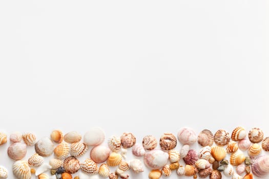 Seashells in bottom of image with copy space isolated on white background, top view