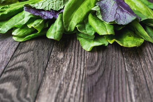 Fresh leaves of sorrel and salad on wooden background. Rustic table with green and violet edible leaves. Place for text.