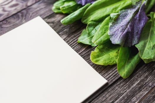 Fresh leaves of sorrel on wooden background. Rustic table with green and violet edible leaves. Place for text. Recipe book.