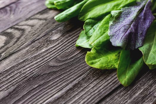 Fresh leaves of sorrel and salad on wooden background. Rustic table with green and violet edible leaves. Place for text.