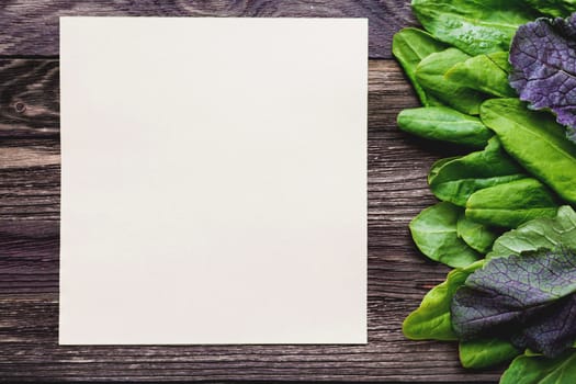 Fresh leaves of sorrel on wooden background. Rustic table with green and violet edible leaves. Place for text. Recipe book.