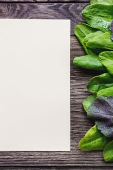 Fresh leaves of sorrel on wooden background. Rustic table with green and violet edible leaves. Place for text.