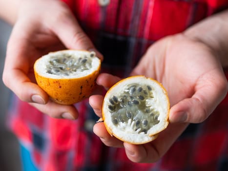 Man in tartan plaid shirt holds Passiflora ligularis, commonly known as the sweet granadilla or grenadia, also known as purple mangosteen. Exotic fruit harvest.