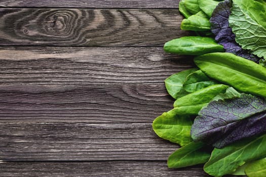 Fresh leaves of sorrel on wooden background. Rustic table with green and violet edible leaves. Place for text.