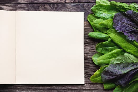 Fresh leaves of sorrel on wooden background. Rustic table with green and violet edible leaves. Place for text. Recipe book.