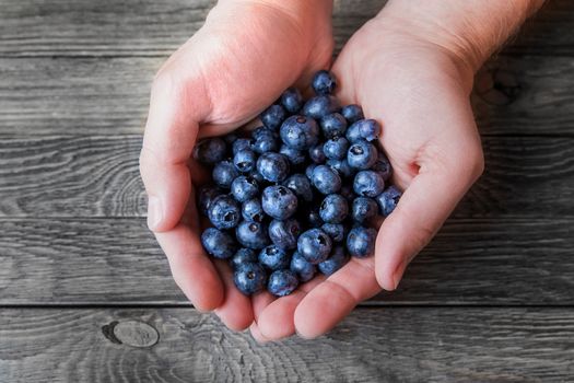 A man holds a handful of blueberries on wooden background. Rustic cozy background with healthy food. Fresh-gathered berries full of vitamins, good for diet nutrition and healthy meals.