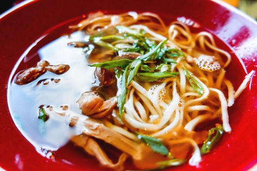 Asian cuisine - soup with duck meat, egg noodles and onion in red bowl. Close up.