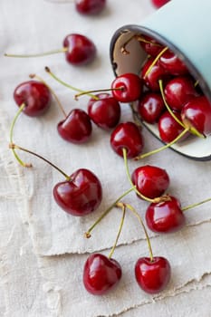 Fresh juicy sweet cherries in old rusty mug. Rustic background with homespun napkin.