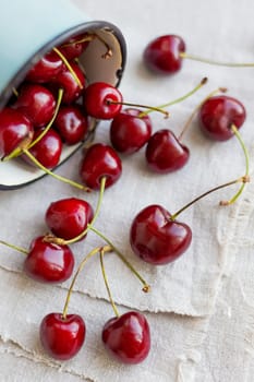 Fresh juicy sweet cherries in old rusty mug. Rustic background with homespun napkin.