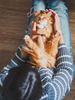 Cute ginger cat dozing on woman knees. Woman in torn jeans stroking her fluffy pet. Cozy home. Top view.