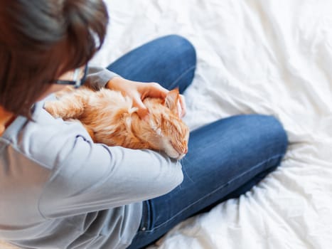 Cute ginger cat lies on woman's hands. Fluffy pet comfortably settled to sleep or to play. Cozy morning bedtime at home.