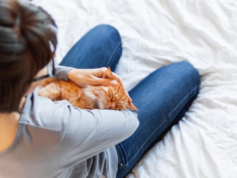 Cute ginger cat lies on woman's hands. Fluffy pet comfortably settled to sleep or to play. Cozy morning bedtime at home.