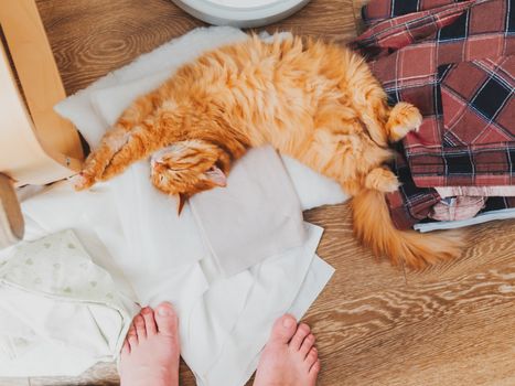 Cute ginger cat lying on clothes. Mess in room, outfits lying in disorder on the floor.