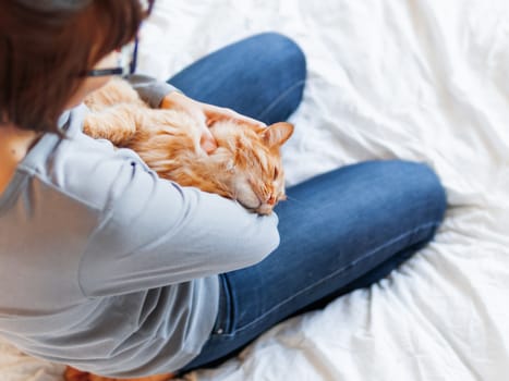 Cute ginger cat lies on woman's hands. Fluffy pet comfortably settled to sleep or to play. Cozy morning bedtime at home.