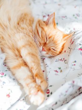 Cute ginger cat lying in bed. Fluffy pet stretching. Cozy home background, morning bedtime.