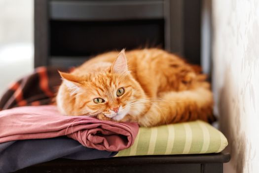 Cute ginger cat sleeps on a pile of clothes. Fluffy pet is dozing among cardigans. Cozy home background.