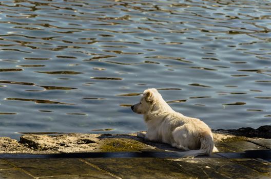 Meditating, looking lost on the horizon.