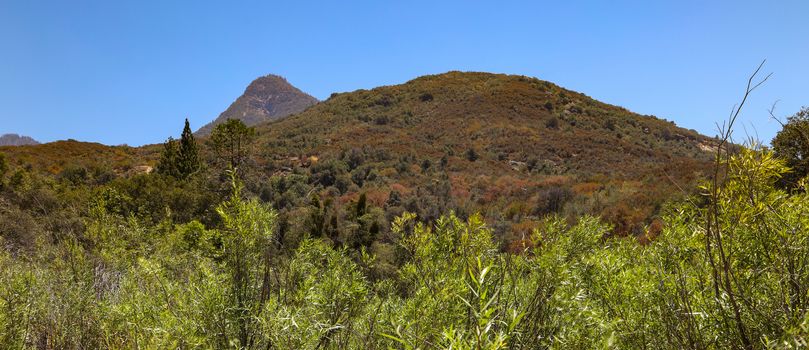 A view of the mountains surrounding Sequoia National Park in California.