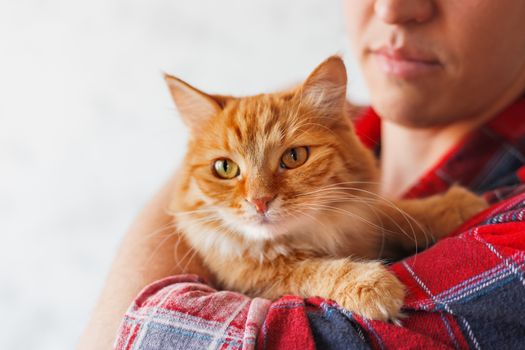 Man in red plaid tartan shirt holding ginger cat.