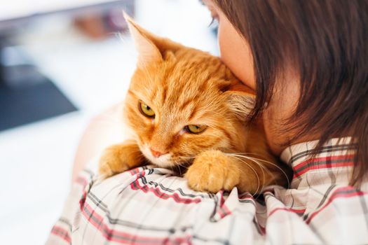 Man in shirt holding ginger cat. Funny pet looks angry.