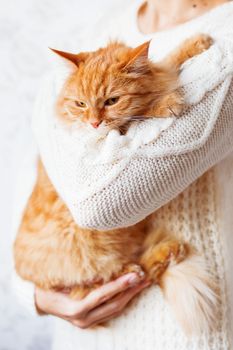 Woman in knitted sweater holding angry ginger cat. Fluffy pet is not happy at this time.