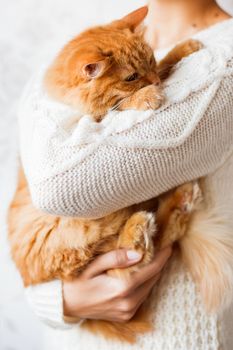 Woman in knitted sweater holding dozing ginger cat.