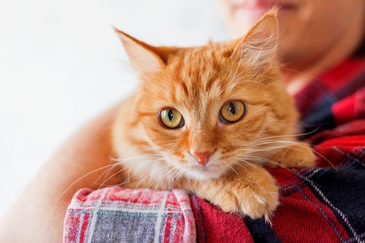 Man in red plaid tartan shirt holding a curious ginger cat.