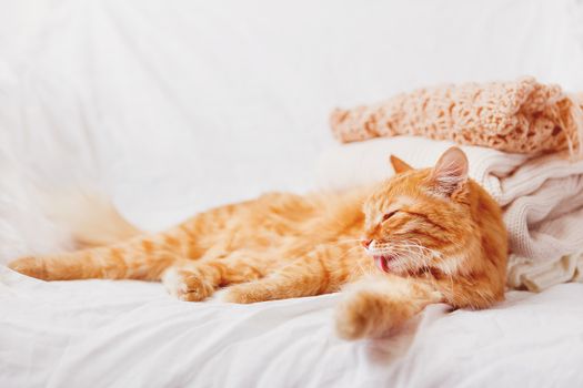 Ginger cat lies near a pile of beige woolen clothes on a white background. Warm knitted sweaters and scarfs are folded in one heap. Imitation of instagram style tone, soft focus.