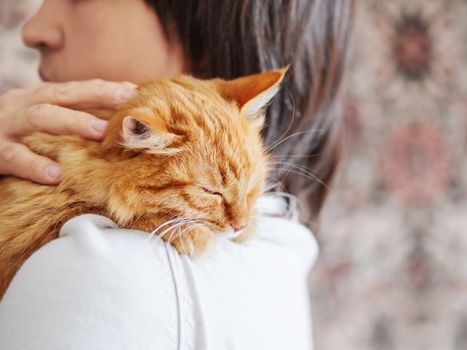 Cute ginger cat is peeping over the shoulder of it's owner. Fluffy pet is sitting on man's hands and staring at camera. Domestic cat with funny expression on face looks cunning.