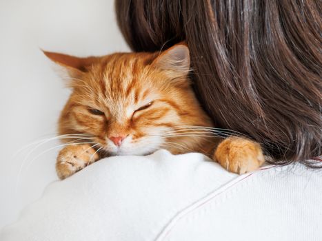 Cute ginger cat is peeping over the shoulder of it's owner. Fluffy pet is sitting on man's hands and staring at camera. Domestic cat with funny expression on face looks cunning.