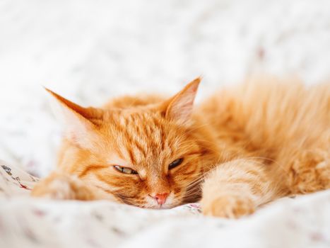 Cute ginger cat lying in bed. Fluffy pet stretching. Cozy home background, morning bedtime.