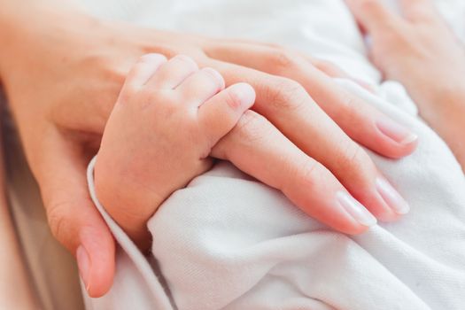 Newborn baby holding his mother finger. Hands of tiny baby and adult woman. Moment of tenderness.