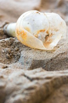 Beach Cleaning. Cleaning dirty beaches by the action of man. Sustainability of the planet and preservation of nature.